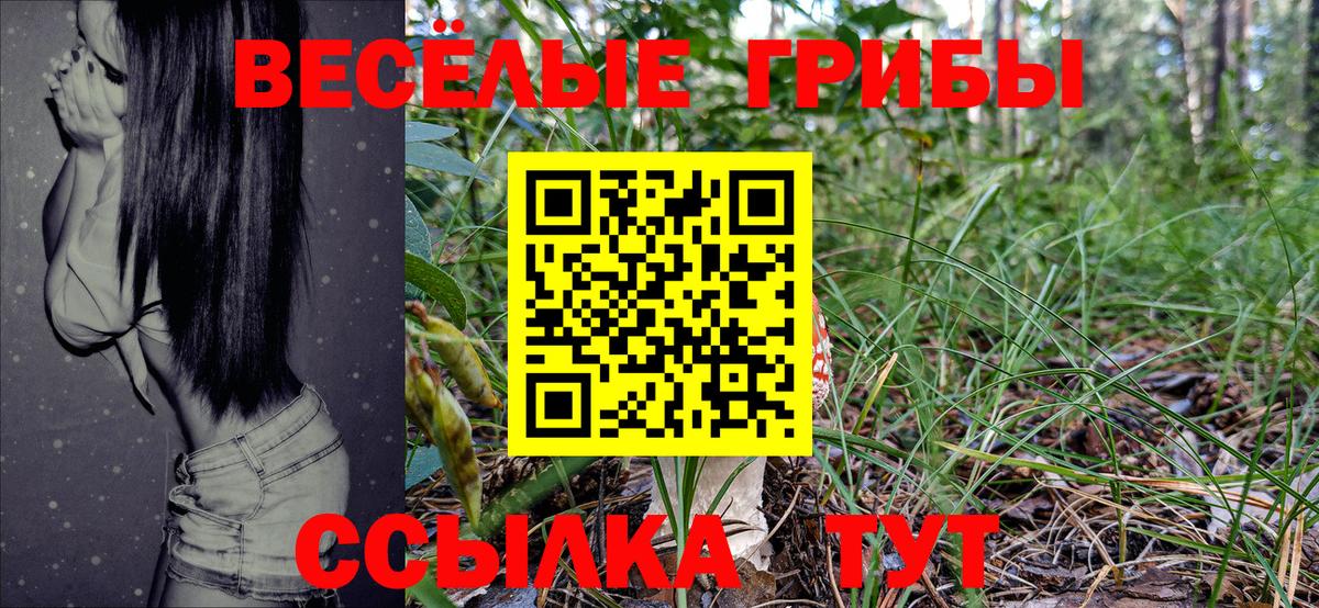 Галлюциногенные грибы Psilocybine cubensis Ирбит