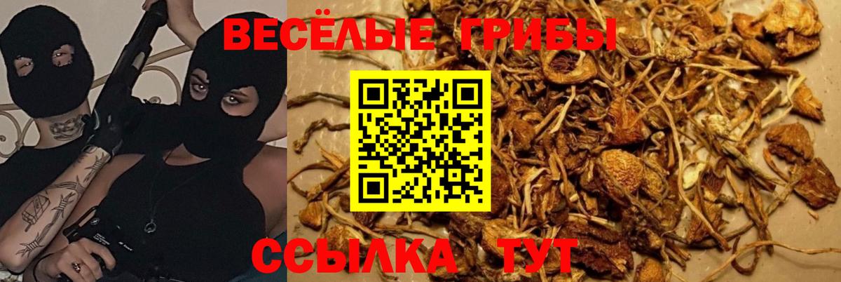 Ирбит  Псилоцибиновые грибы ЛСД  Вход с VPN 